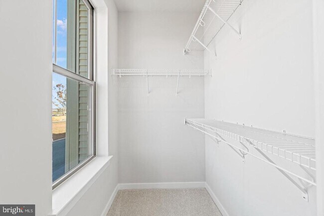 Building Photo - 8739 Plantation Ln