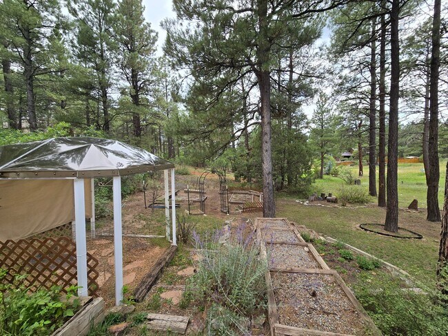 Building Photo - 224 Capitan Cir