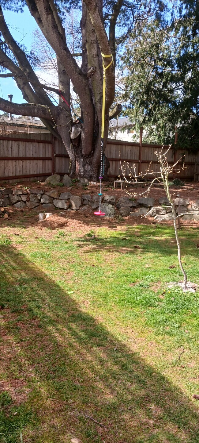 backyard - 1824 NE 169th St