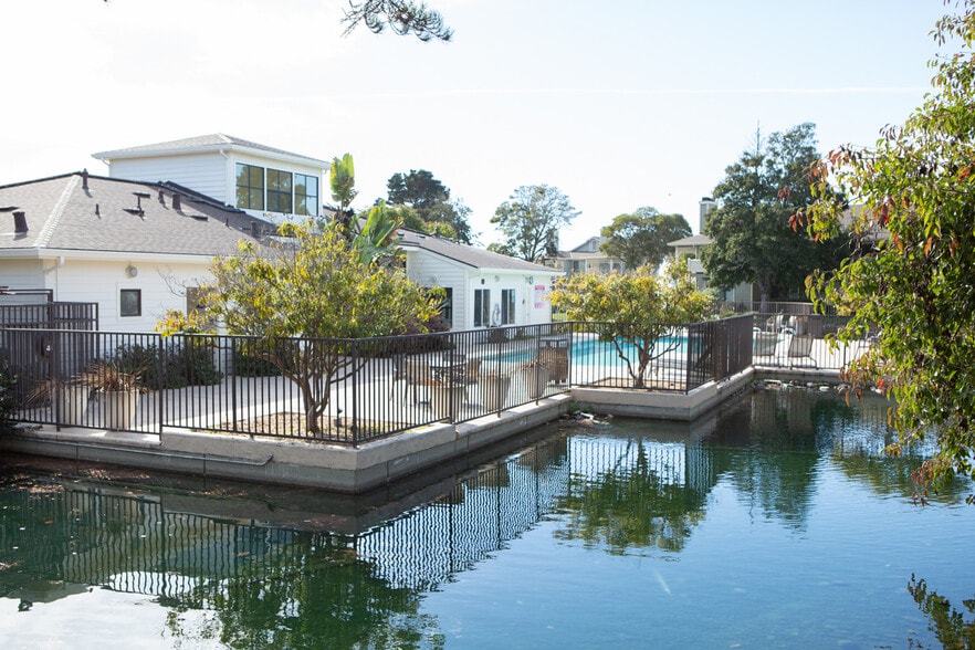 Pool #2 - 202 Shoreline Ct