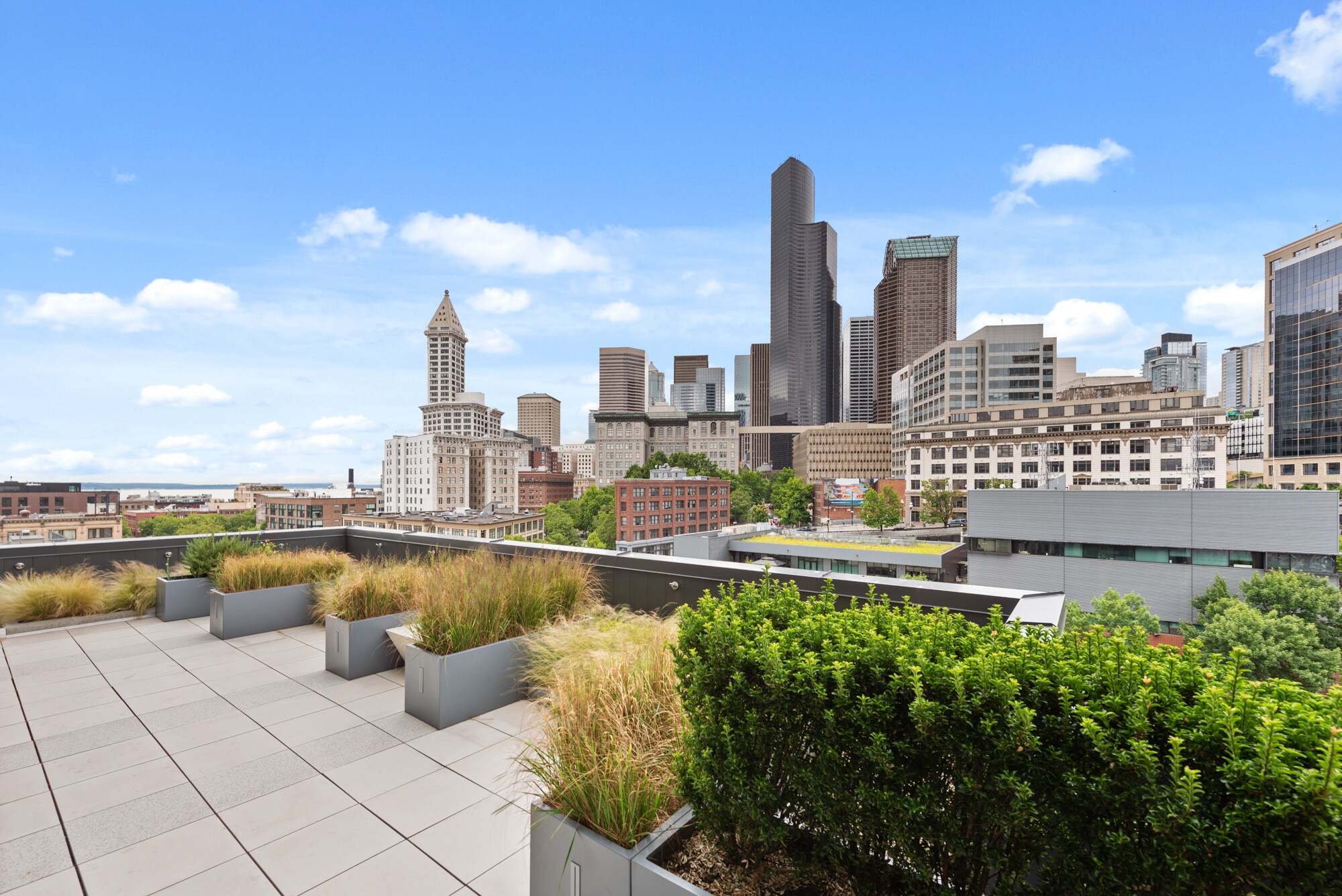 roof top - 450 S Main St
