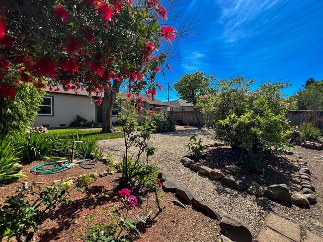 Building Photo - Charming Westwood Cottage in the Heart of Napa