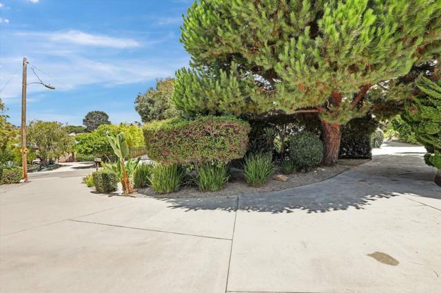 Building Photo - 1304 Muirlands Vista Way