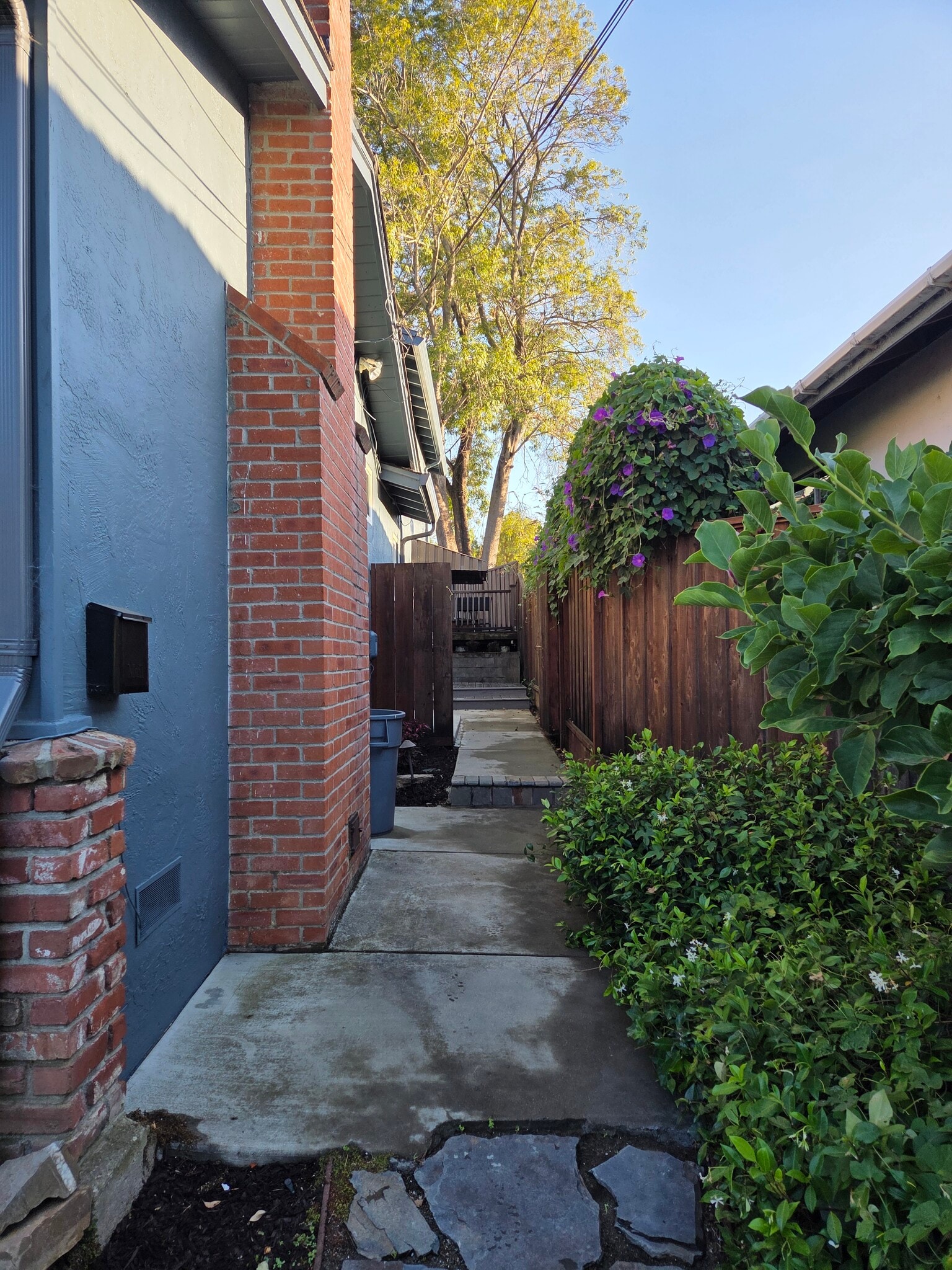 Path along side of house. - 2753 Sulphur Dr