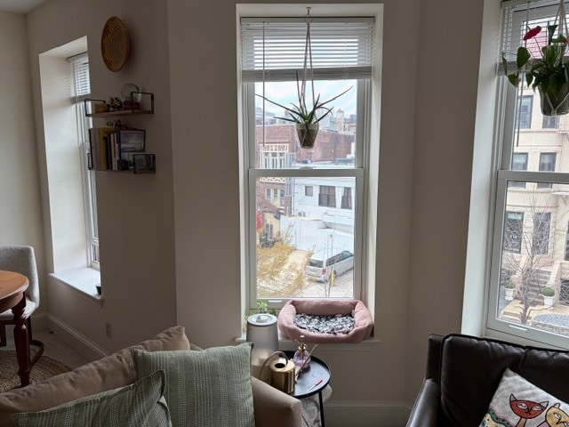 More windows - 1733 20th St NW