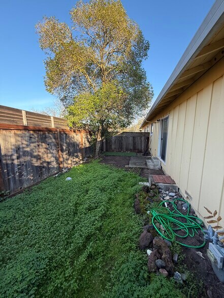 back yard - 1240 Martha Way