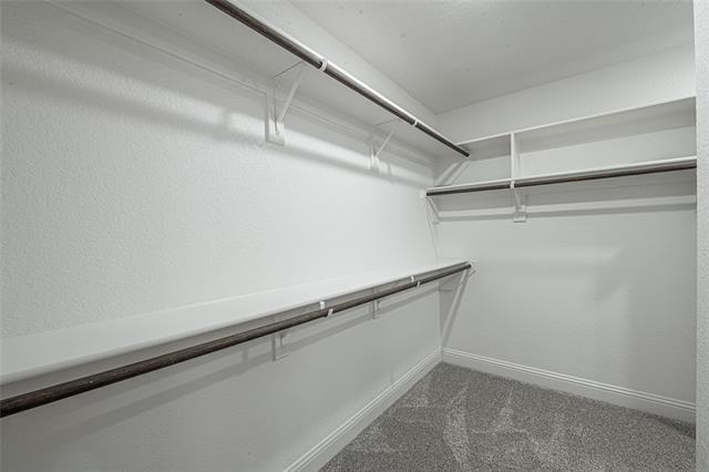 Building Photo - 325 Paloma St