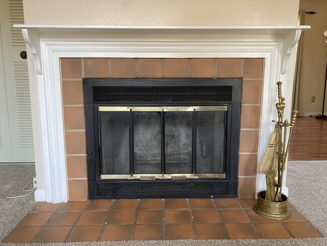 Cosey Fireplace - 1618 Thrush Ter