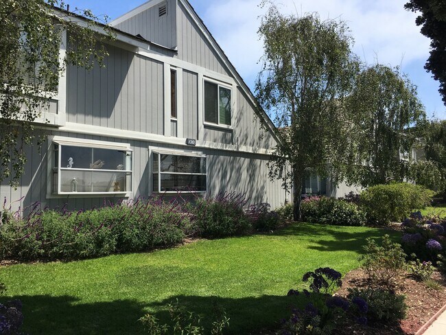 Building Photo - Cozy Studio by the Beach in Sandpiper III Complex!