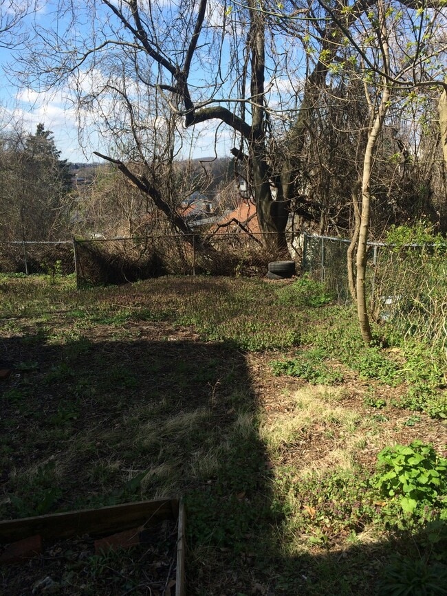 Building Photo - Large 2 Bedroom 1 Bath in MT Washington