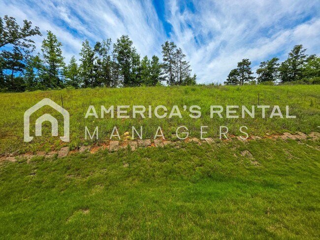 Building Photo - New Construction Home for Rent in Lincoln!