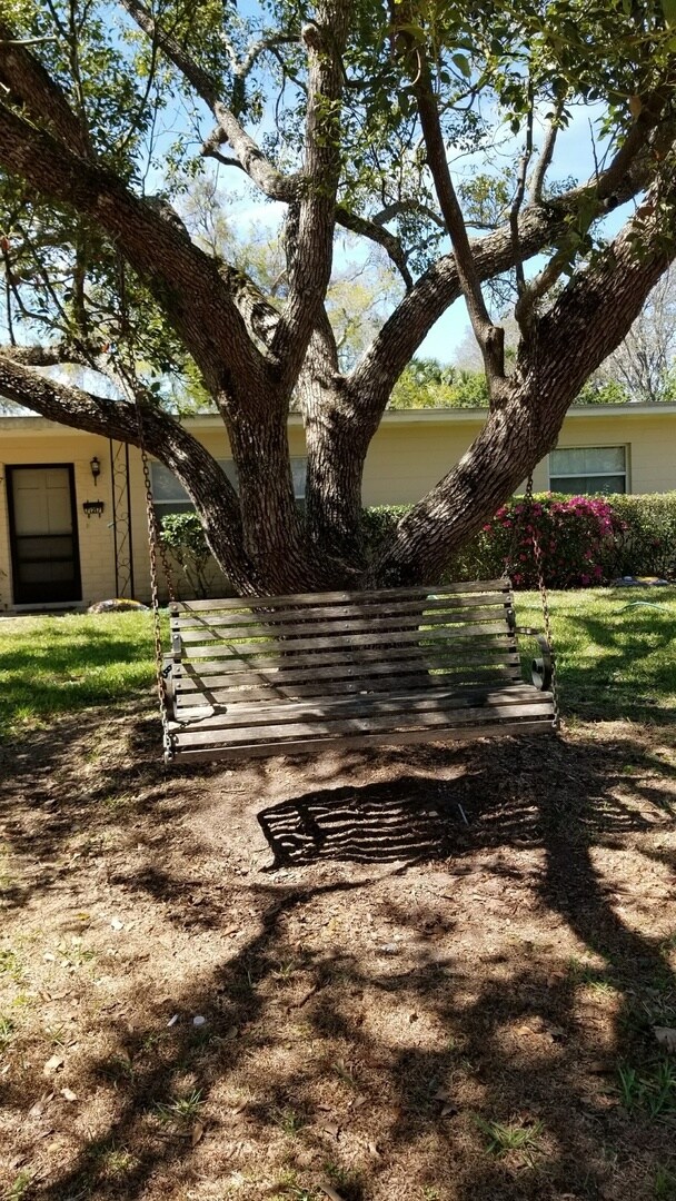 Building Photo - Three bedroom 2 Bath in Winter Park
