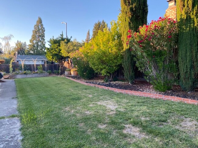 Building Photo - San Ramon Single Story 3 Bd/2 Ba, New Pain...