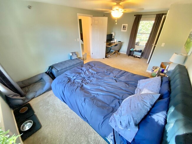 Building Photo - 3 Bedroom Condo in South Burlington VT Available NOW!