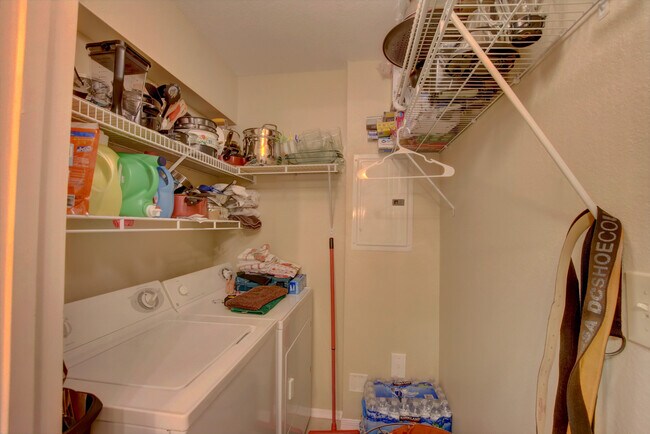 Building Photo - 15035 Michelangelo Blvd