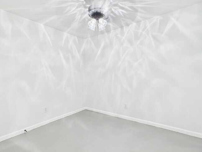 Building Photo - 107 Davis St