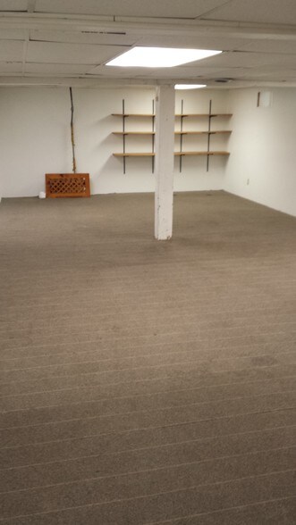 Basement REC ROOM - 916 Vine St