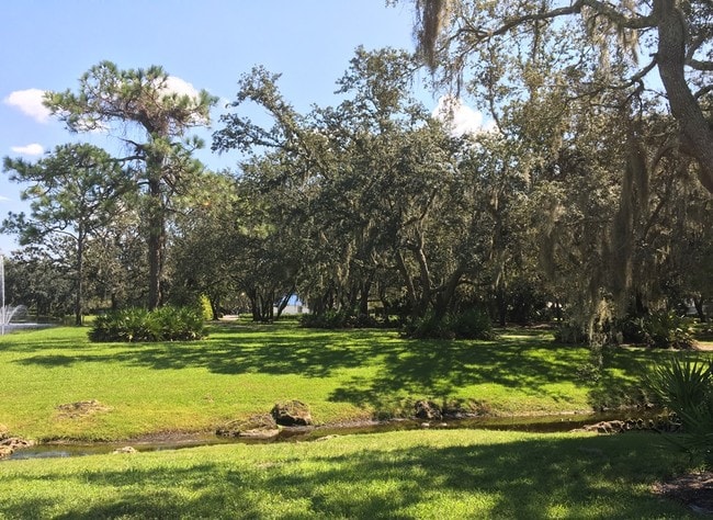 View of park in your backyard - 5100 Burchette Rd