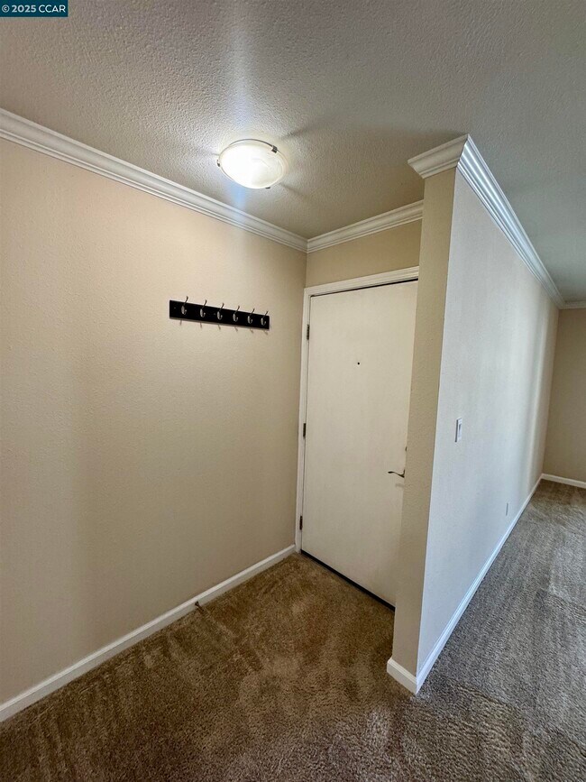 Building Photo - 315 Masters Ct