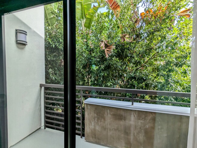 Primary balcony, treetop views, privacy - 2121 Virginia Ave