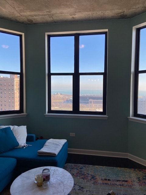 View/Bay window - 1464 S MICHIGAN Ave