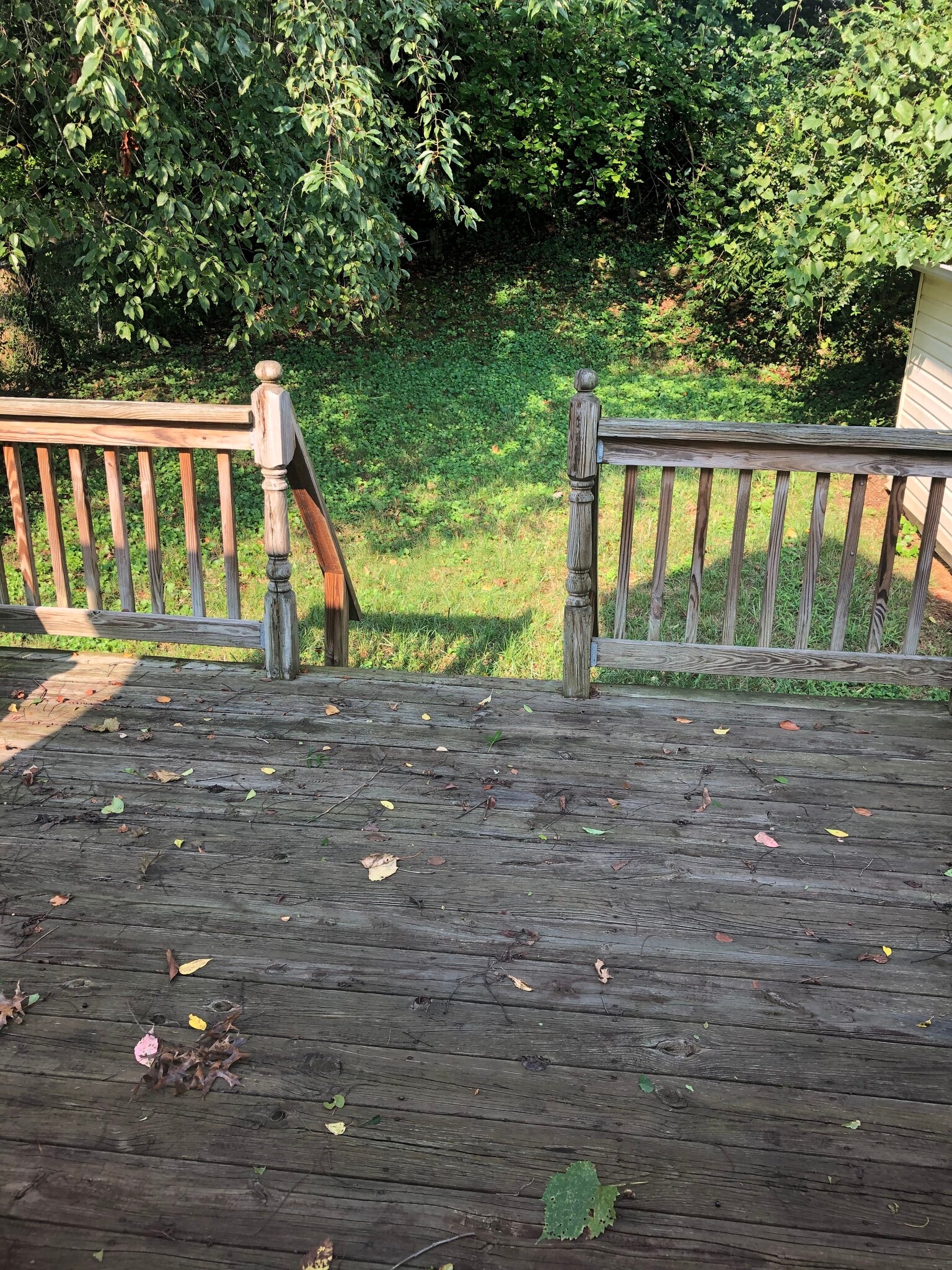 Deck to back yard - 21 Pogue St
