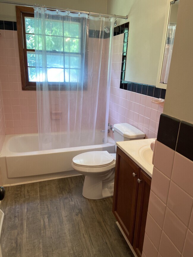 Building Photo - Rainbow Forest