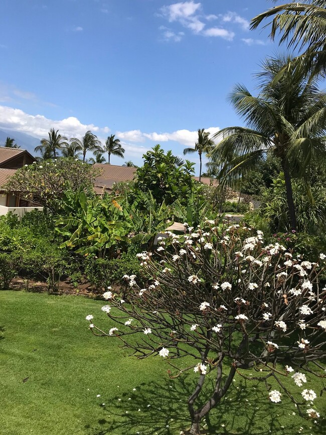 Building Photo - Gorgeous Wailea Palms Unit with ocean views!