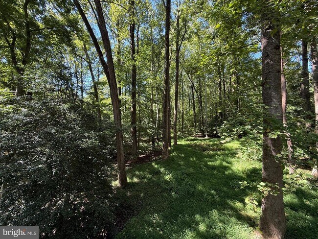 Building Photo - 100 Aquia Creek Rd