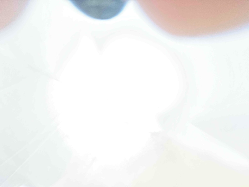 Building Photo - 1514 Spruce Hills Dr