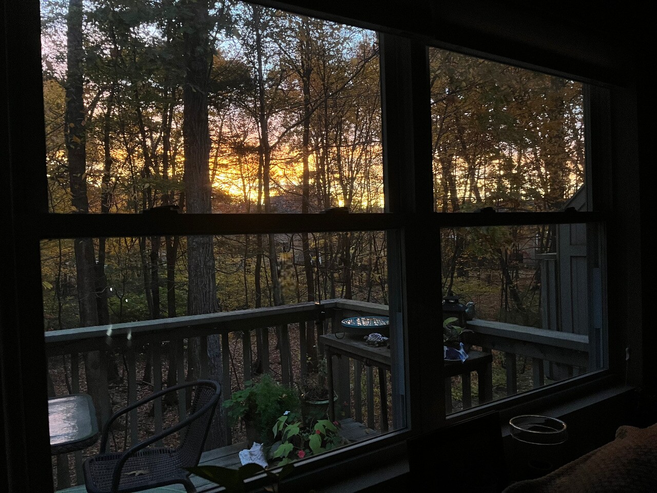 Fall time view from living room - 9 Ann Dr