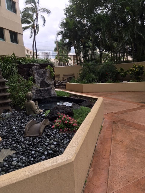 garden area by pool - 1314 Kalakaua Ave