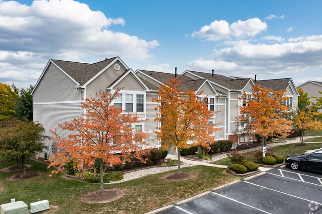 Primary Photo - Sycamore Commons