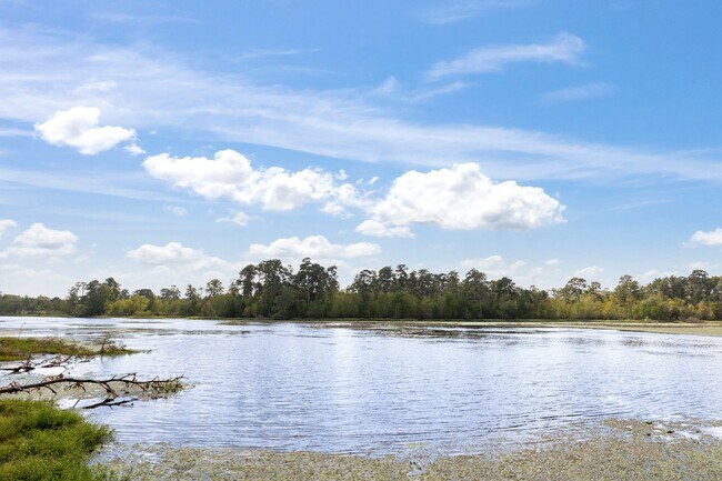 Building Photo - 15 N Flickering Sun Cir