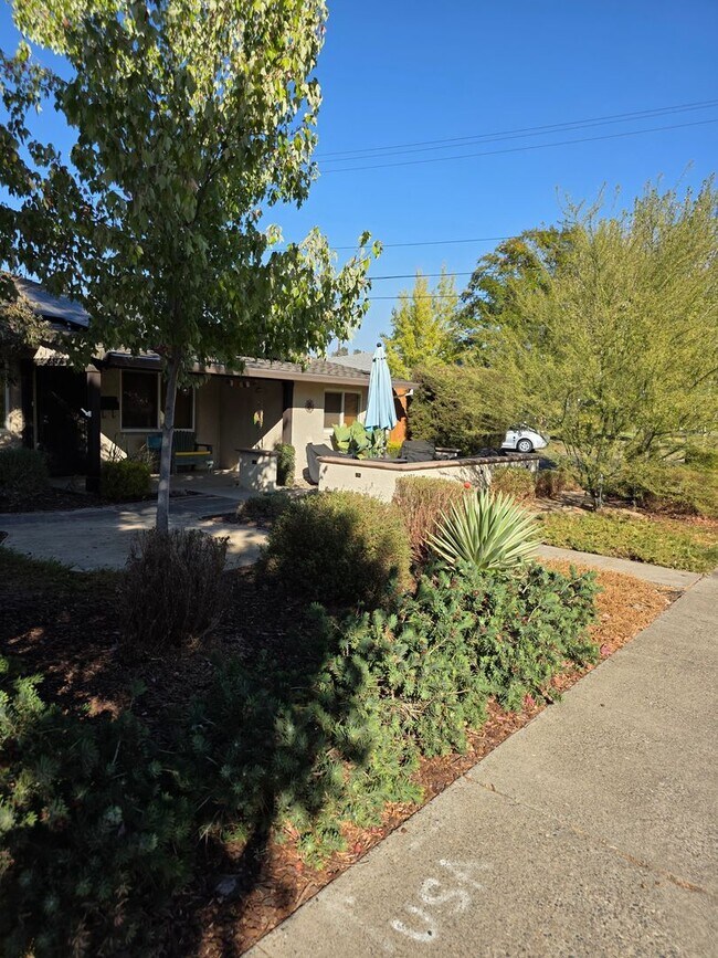 Primary Photo - EAST SAC - FURNISHED