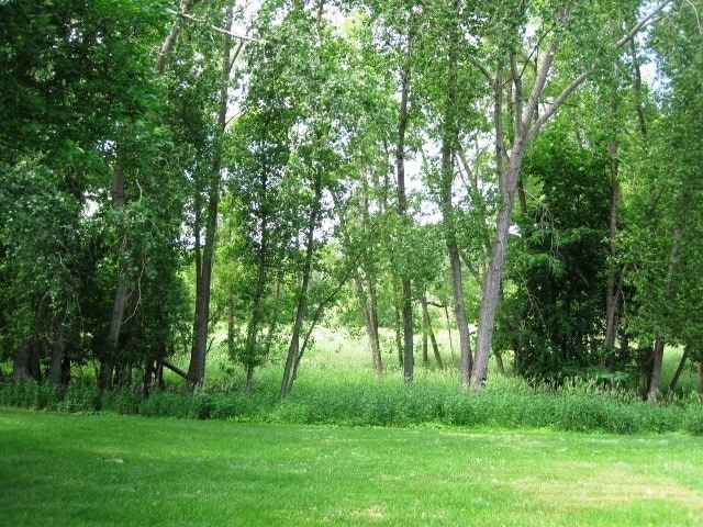 Building Photo - Gorgeous Remodeled Townhome! Cherry HDWD Floors, Attached Garage!