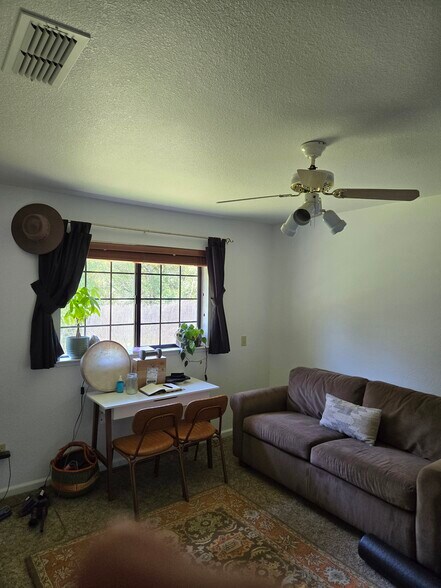 2nd bedroom - 4521 Wild Lilac Ln