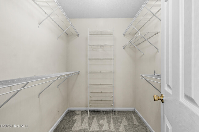 Building Photo - 205 Buckskin Dr