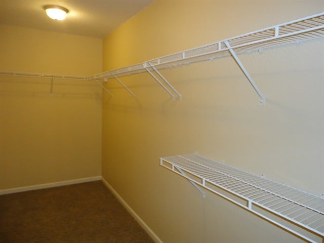 Building Photo - 8533 Belle Union Ct