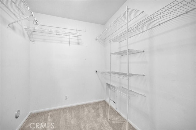 Building Photo - 11 Dapplegray Ln