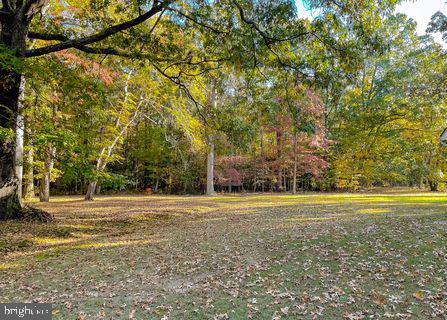 Building Photo - 9642 Charles St