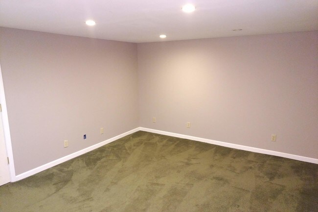Basement - 712 Graefield Ct