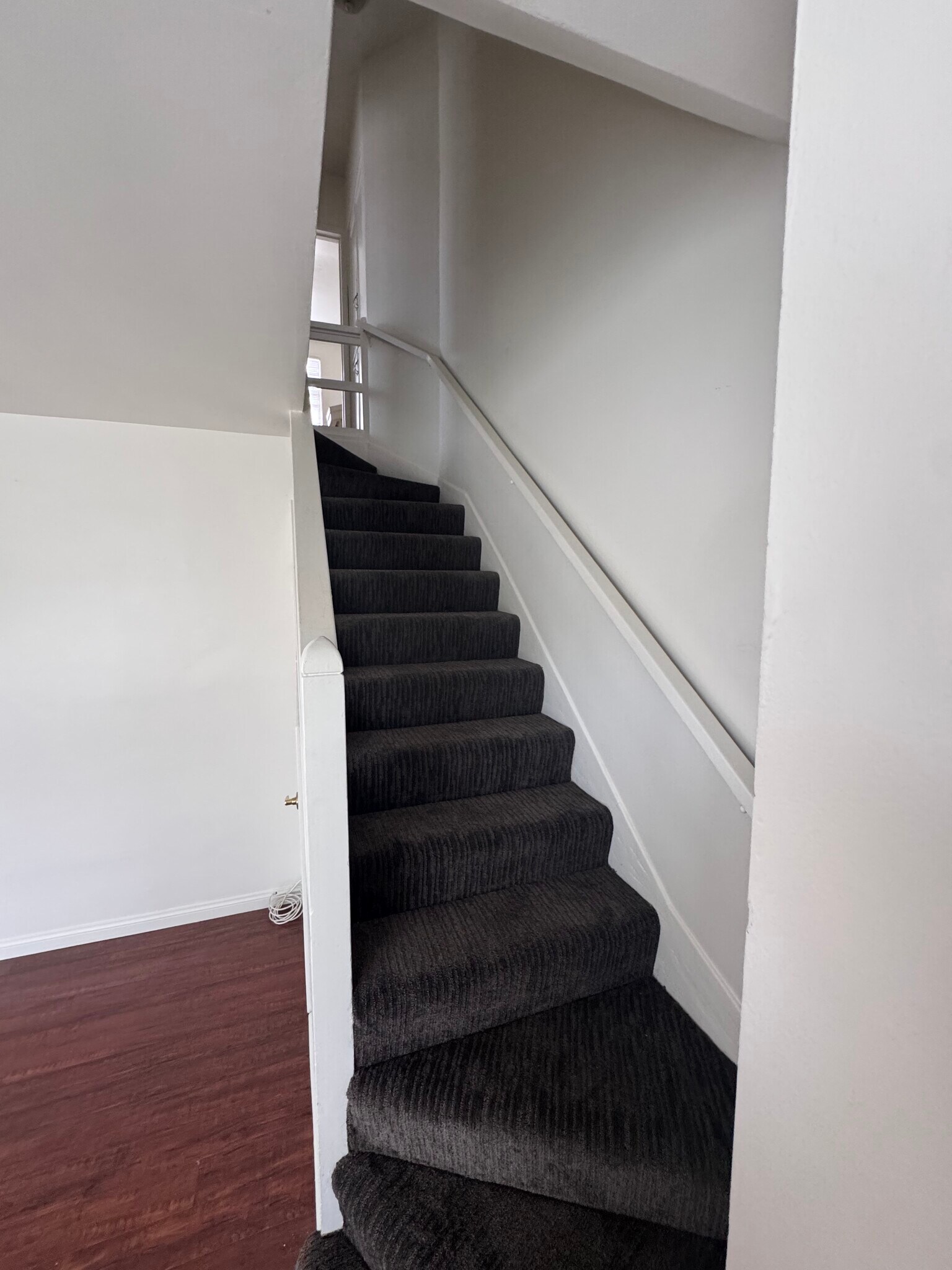Brand new carpet - 424 W Riggin St