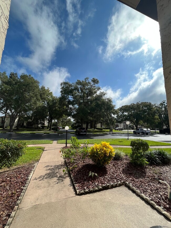 Beautiful green areas - 671 Midway Dr
