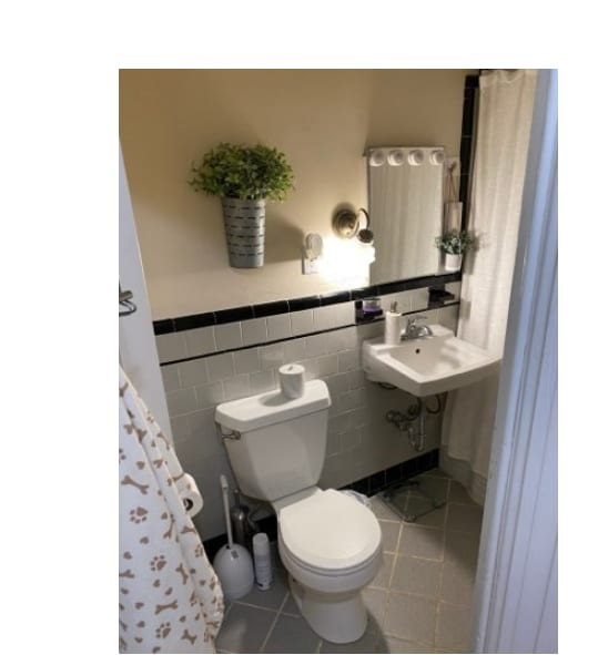 Building Photo - 250 Commonwealth Ave