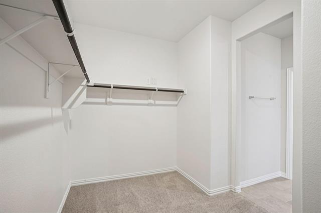 Building Photo - 411 Midnight Oak Dr