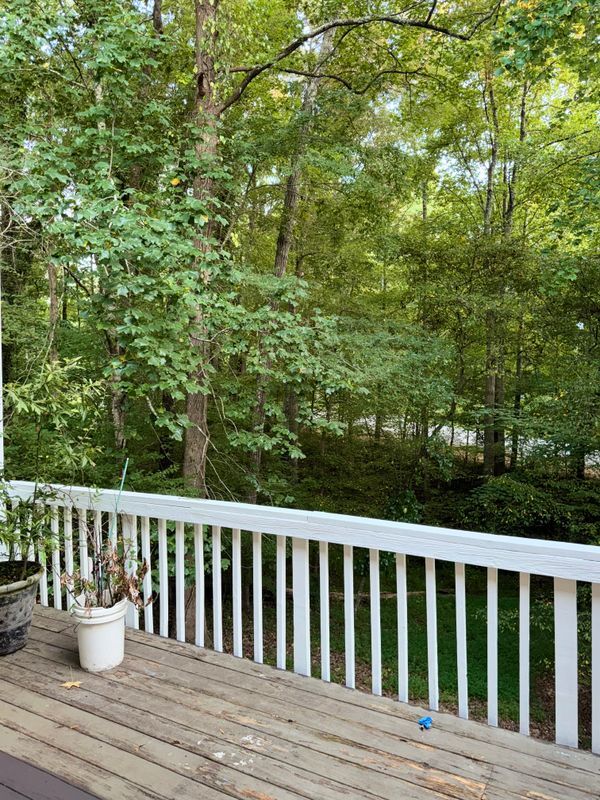 Building Photo - 4650 Kousa Ln