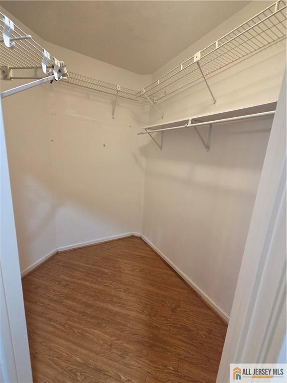Building Photo - 11D Chadwick Ln