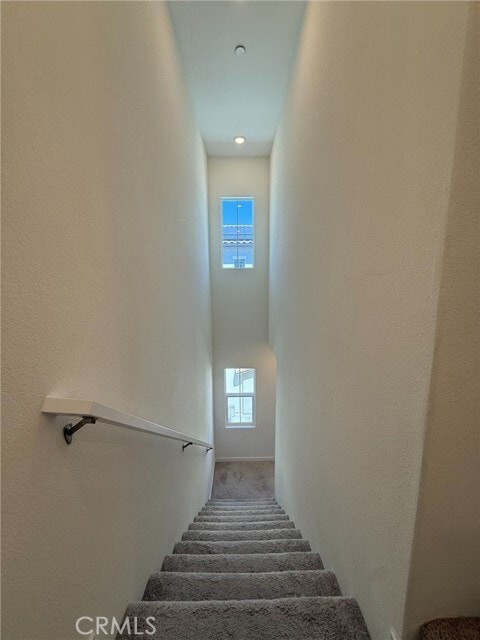 Building Photo - 22316 Spanish Oak Ct