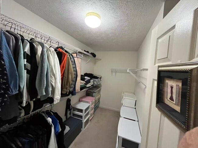 Building Photo - 3626 White Pine Dr